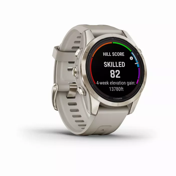 Garmin forerunner gold online